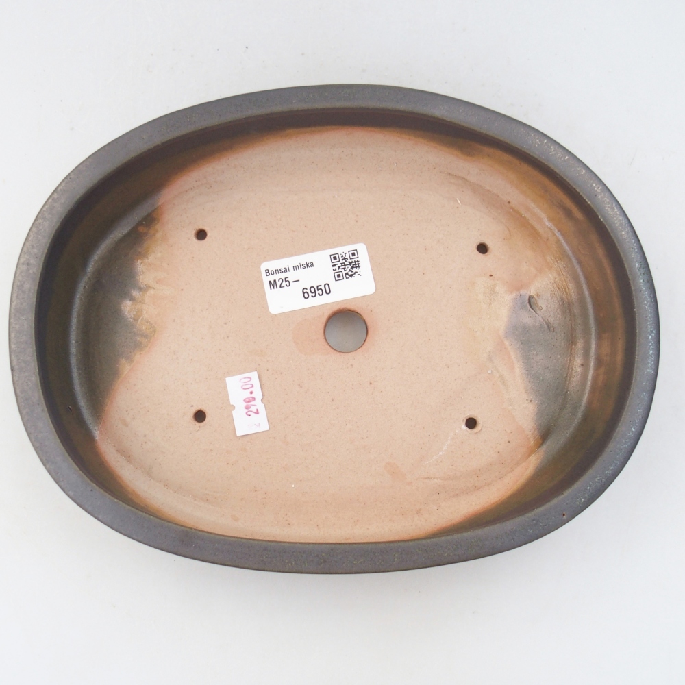 Keramická miska na bonsaje 22 x 16,5 x 4,5 cm, sivá