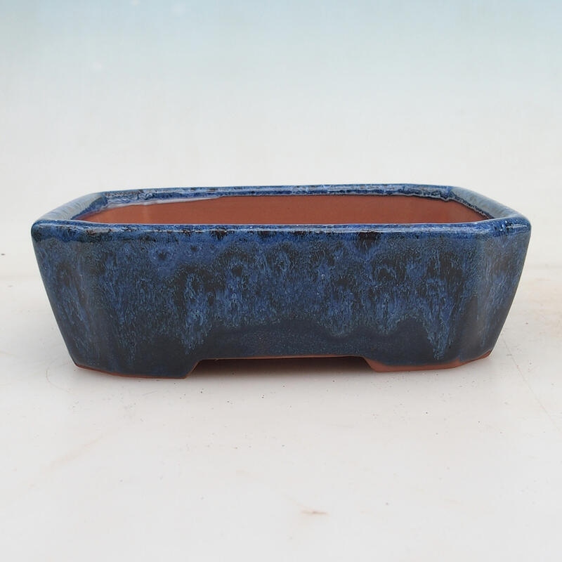 Bonsai miska 17 x 14 x 5 cm, farba modrá