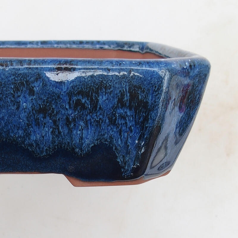 Bonsai miska 17 x 14 x 5 cm, farba modrá