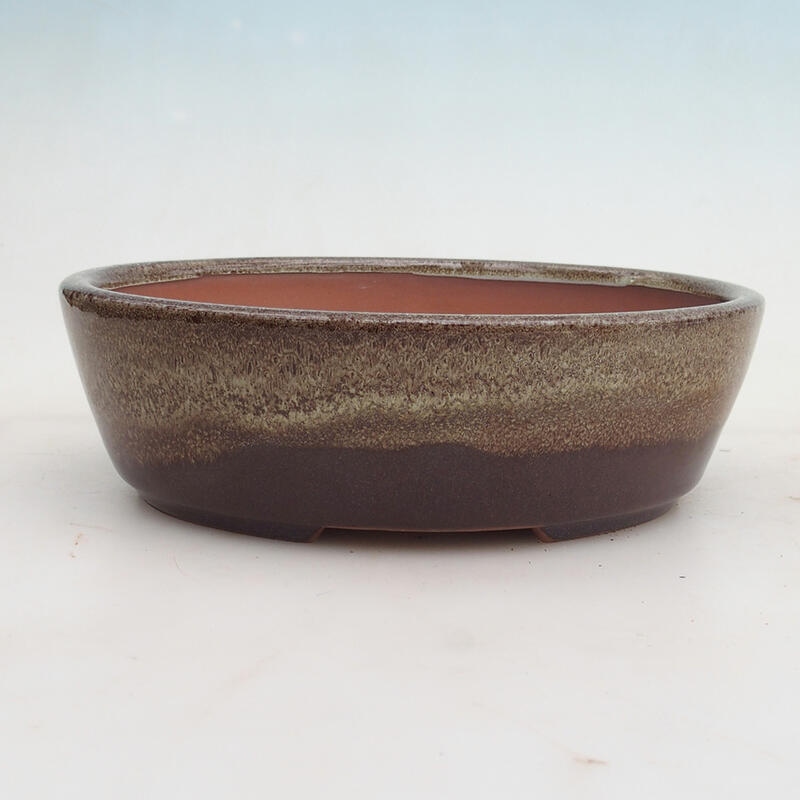 Bonsai miska 20,5 x 17 x 6 cm, farba vínovohnedá
