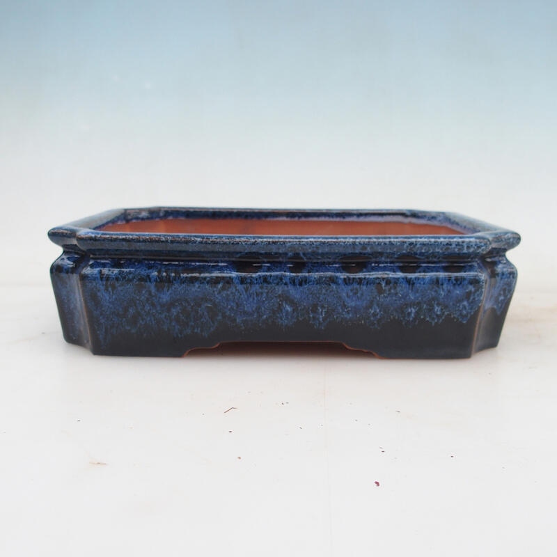 Bonsai miska 21 x 16 x 5 cm, farba modrá