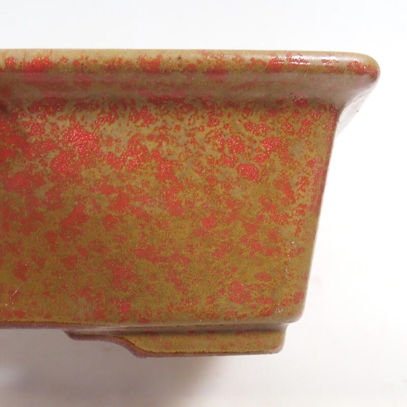 Bonsai miska 21 x 17 x 6,5 cm, farba okrová