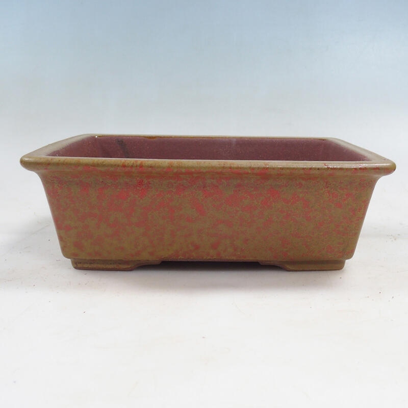 Bonsai miska 21 x 17 x 6,5 cm, farba okrová