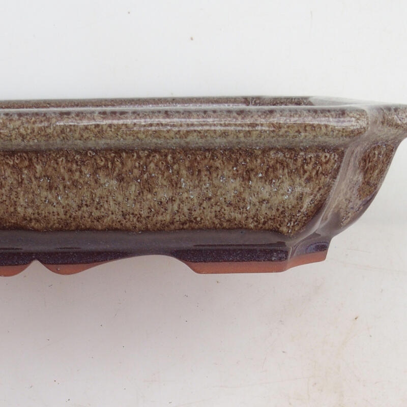 Bonsai miska 22 x 16,5 x 4 cm, farba hnedá