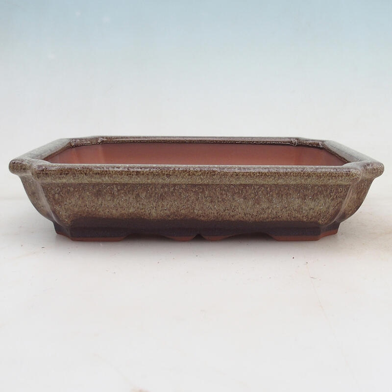 Bonsai miska 22 x 16,5 x 4 cm, farba hnedá