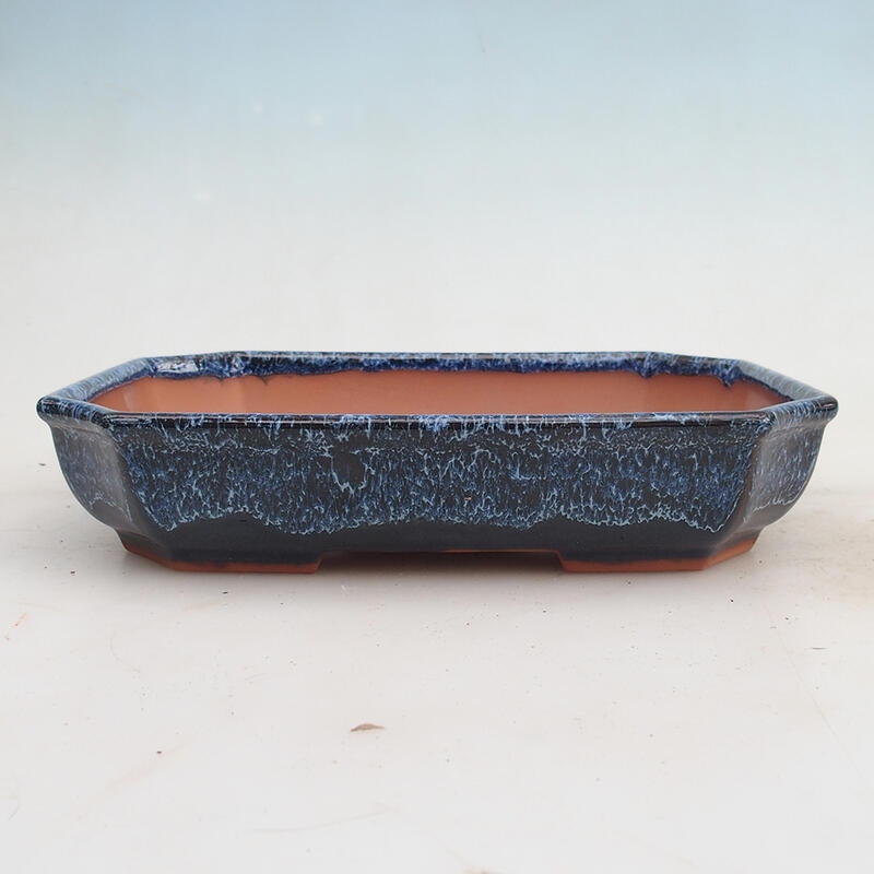 Bonsai miska 23 x 17,5 x 4,5 cm, farba modrá