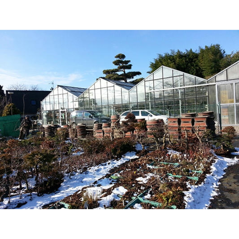 Bonsai miska 34 x 26 x 13 cm, farba modrá