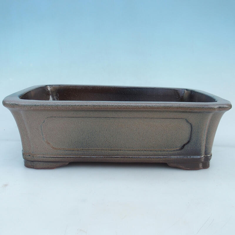 Bonsai miska 41 x 28 x 12,5 cm, farba hnedá - iba paletová preprava