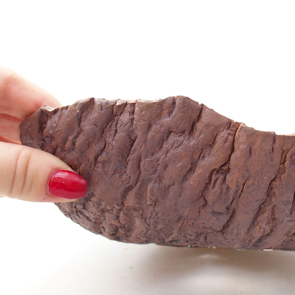 Keramická mušľa 19 x 18 x 5,5 cm , farba hnedá