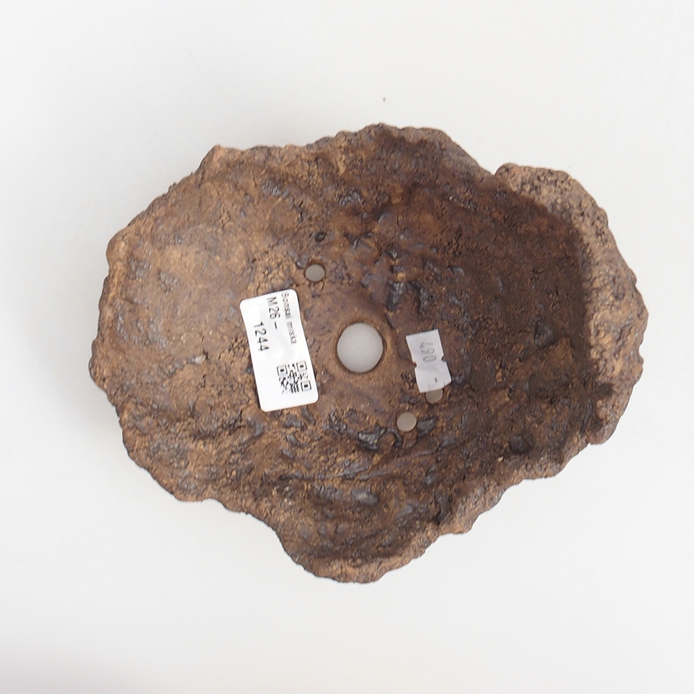 Keramická mušľa 14,5 x 13 x 13 cm , farba hnedá