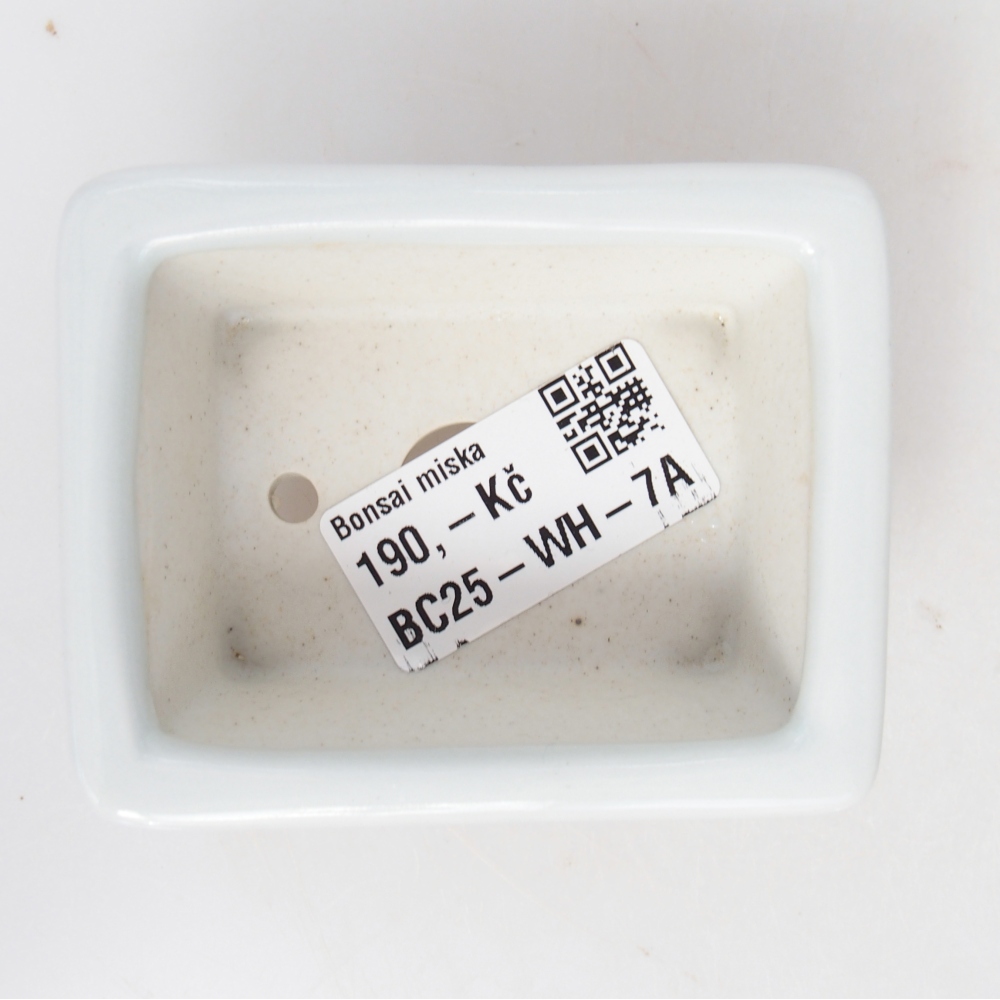 Mini bonsajová miska 8 x 6 x 3 cm, biela