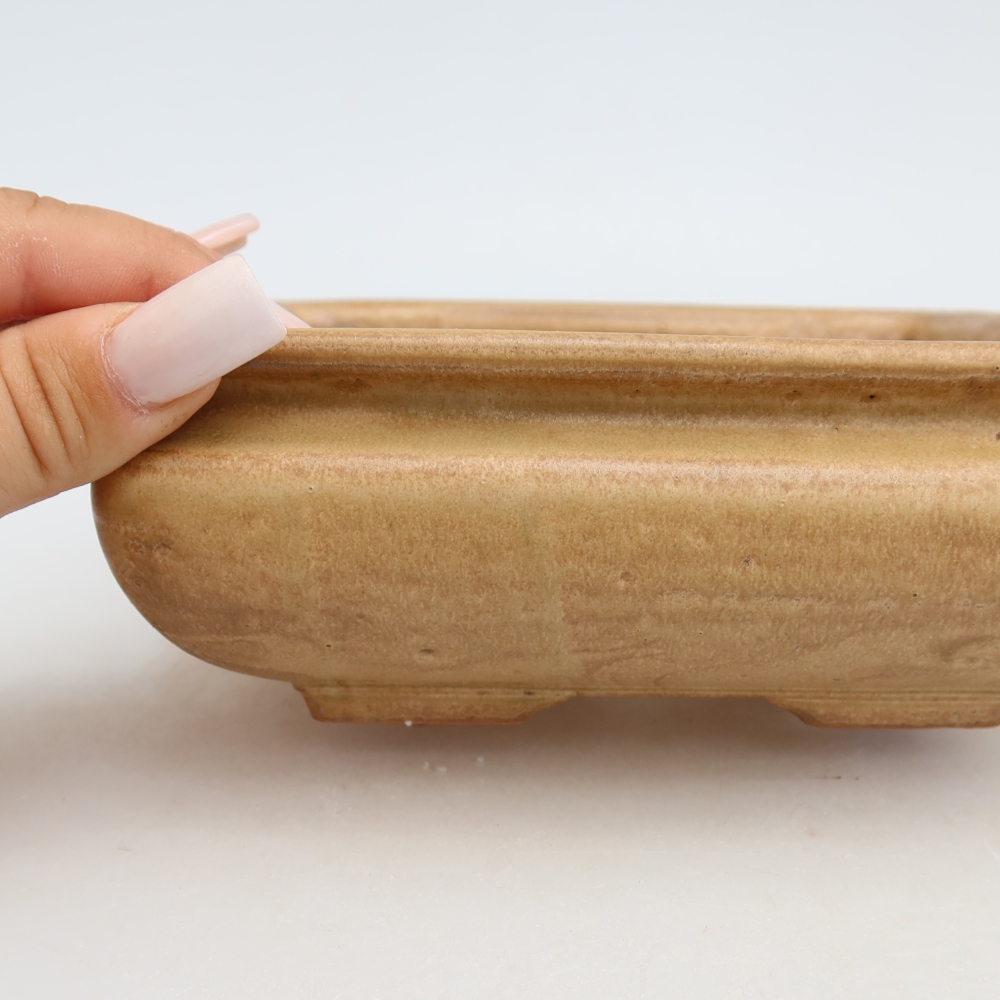 Keramická miska na bonsai 15,5 x 15,5 x 6 cm, farba béžová