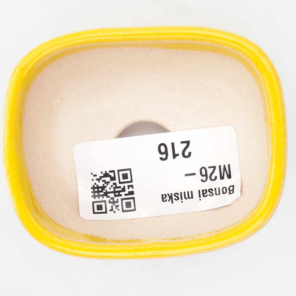 Mini bonsajová miska 6 x 5 x 2,5 cm, žltá