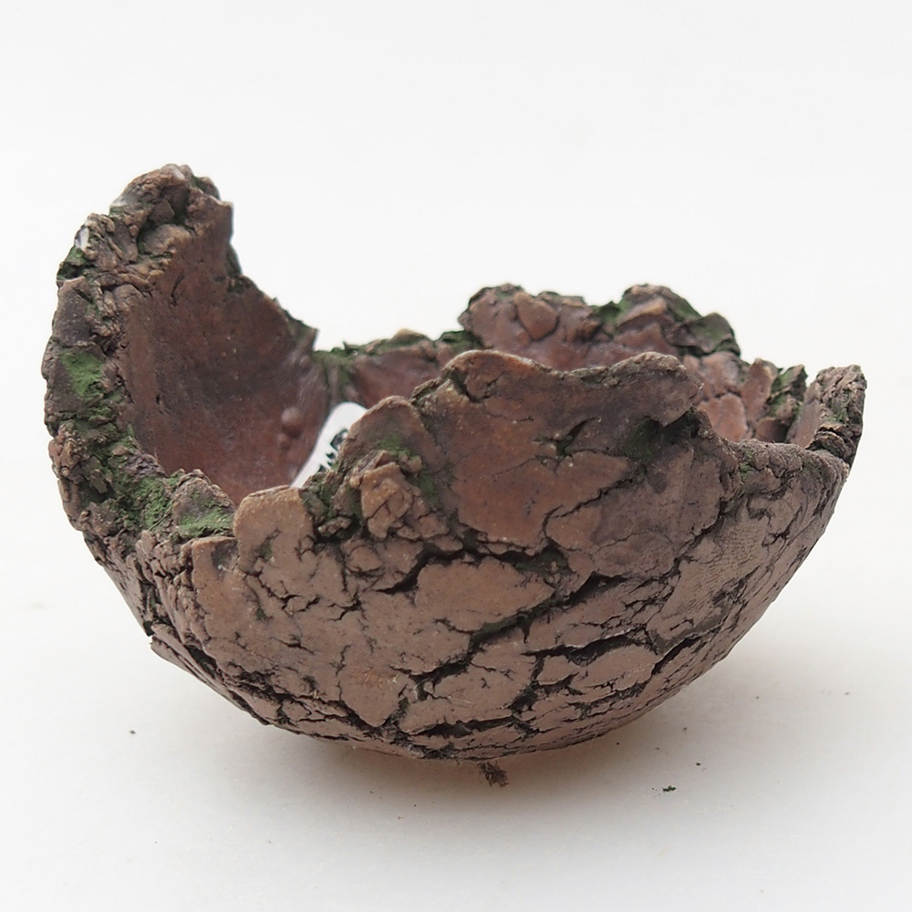 Keramická mušľa 7 x 6 x 5 cm , farba zelená