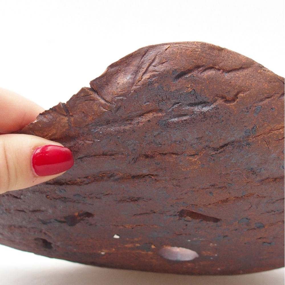 Keramická mušľa 27,5 x 19,5 x 6 cm , farba hnedá