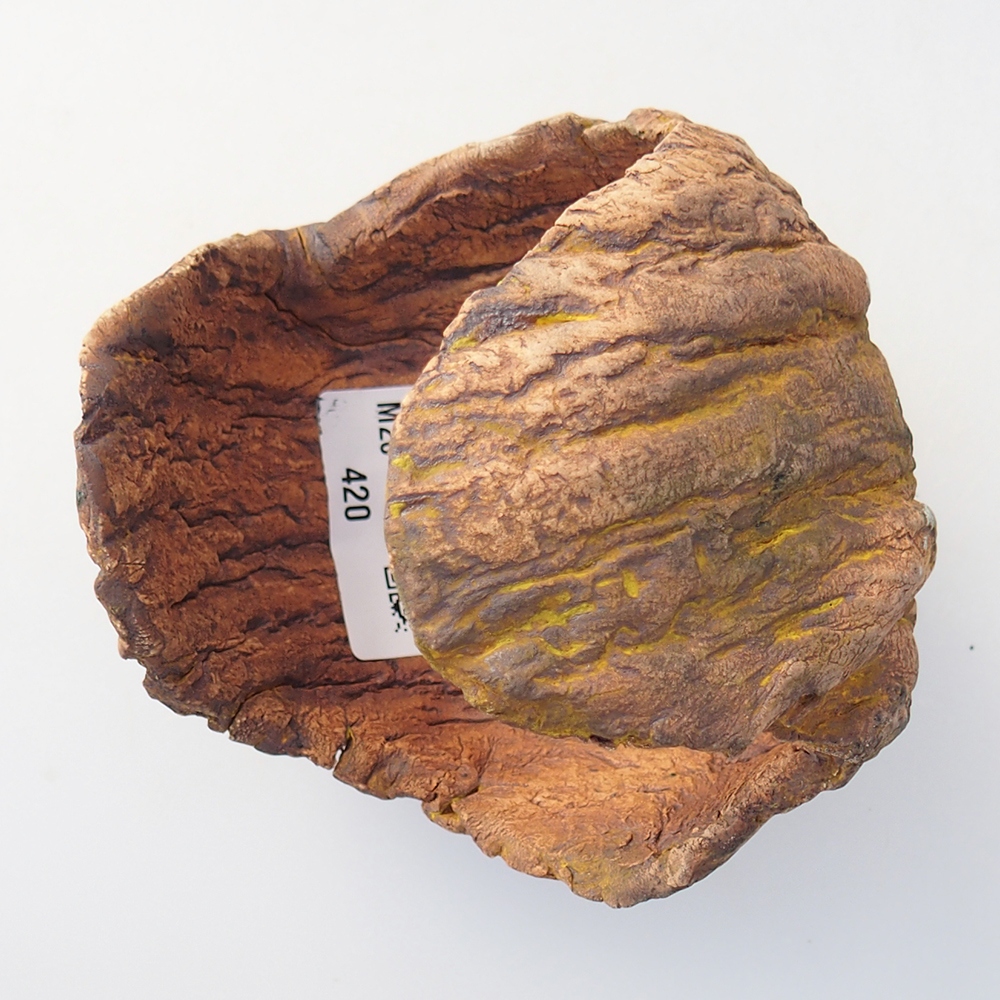 Keramická mušľa 10 x 9 x 12 cm , žltá