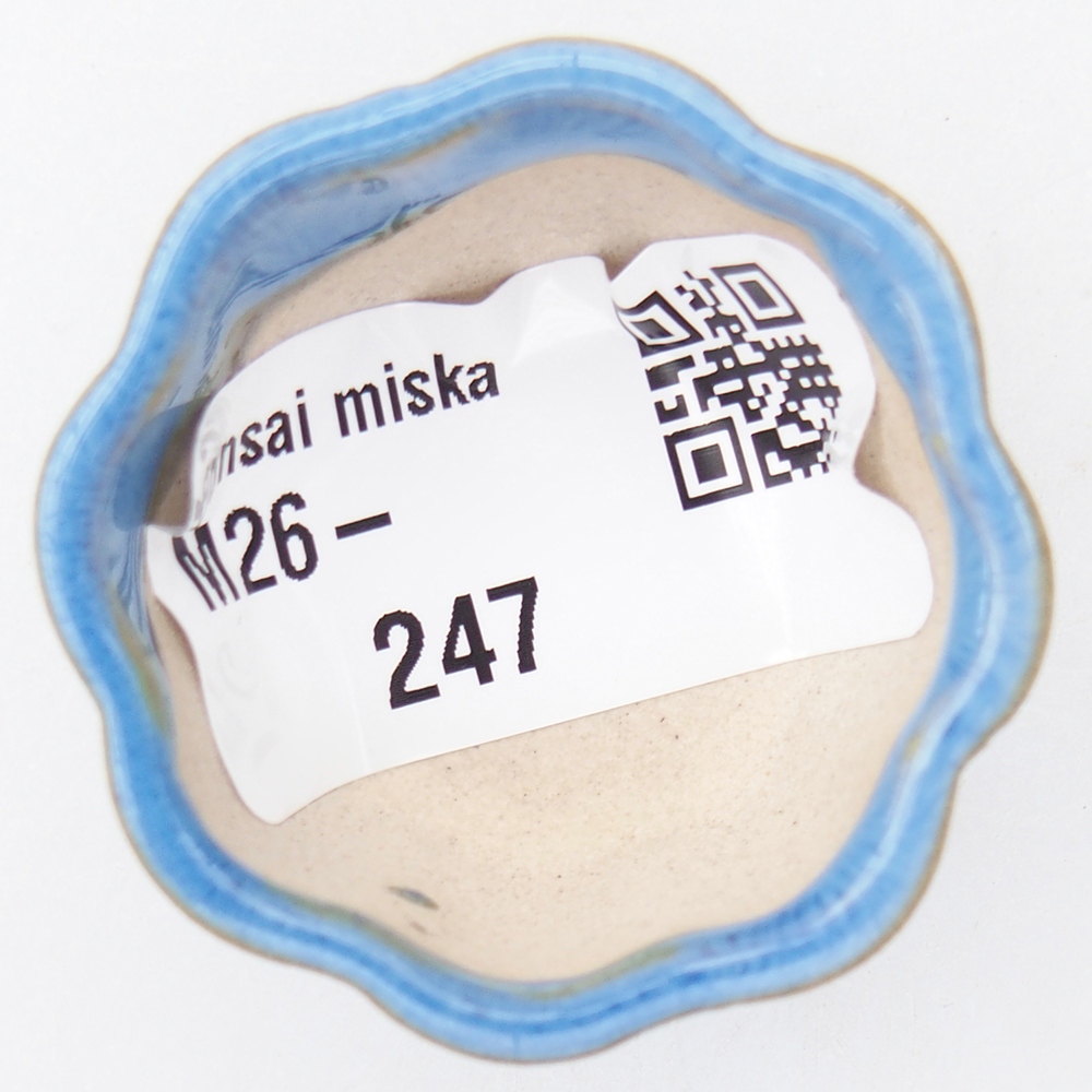 Mini bonsajová miska 4 x 4 x 2 cm, modrá