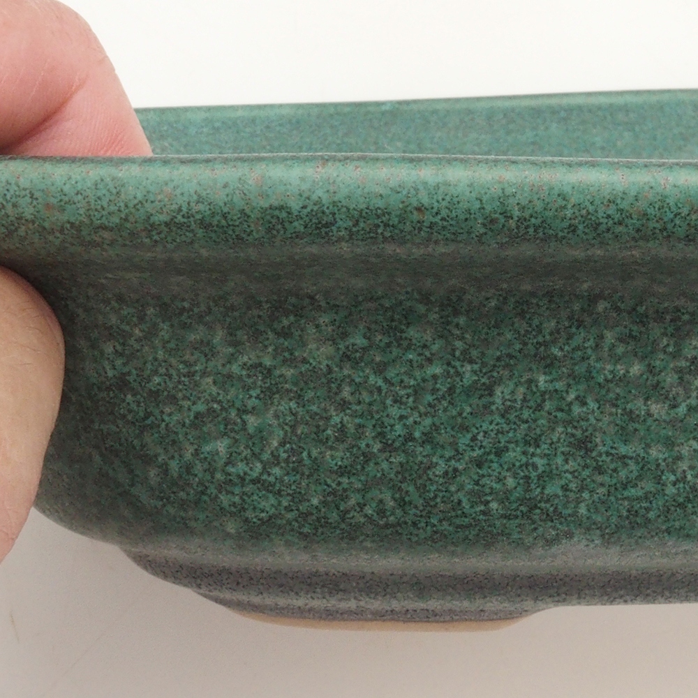 Bonsai miska H25 – 23 x 17 x 5,5 cm. - zelená