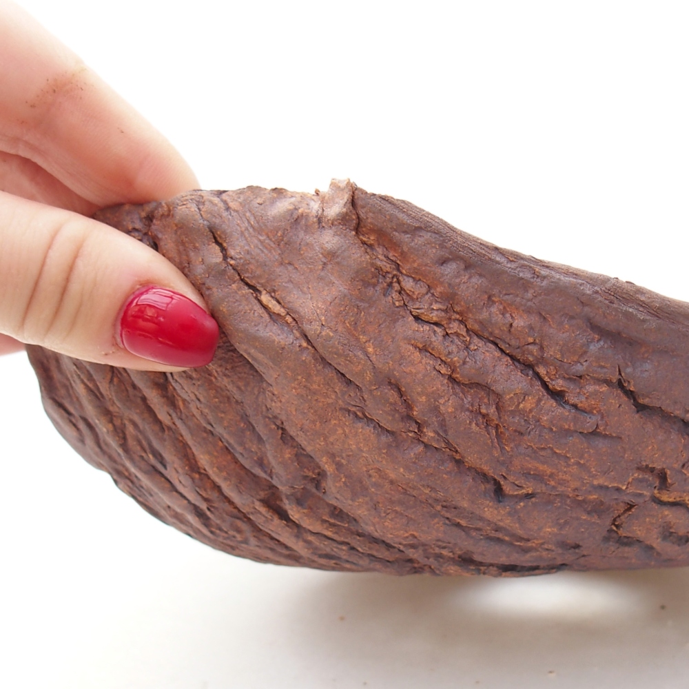 Keramická mušľa 19 x 17 x 7 cm , farba hnedá