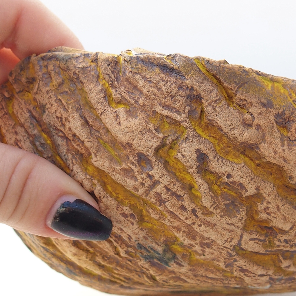 Keramická mušľa 16 x 14 x 7 cm , žltá