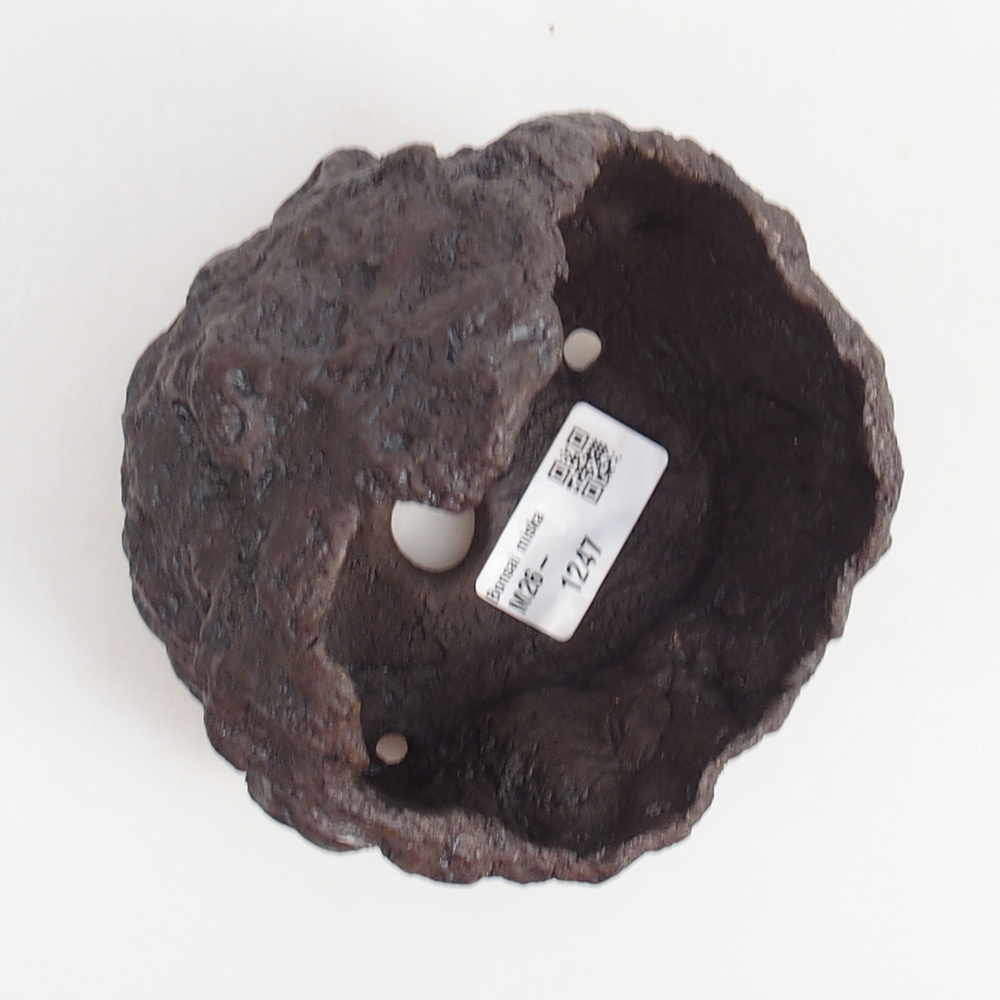 Keramická mušľa 11 x 10 x 14 cm , farba hnedá