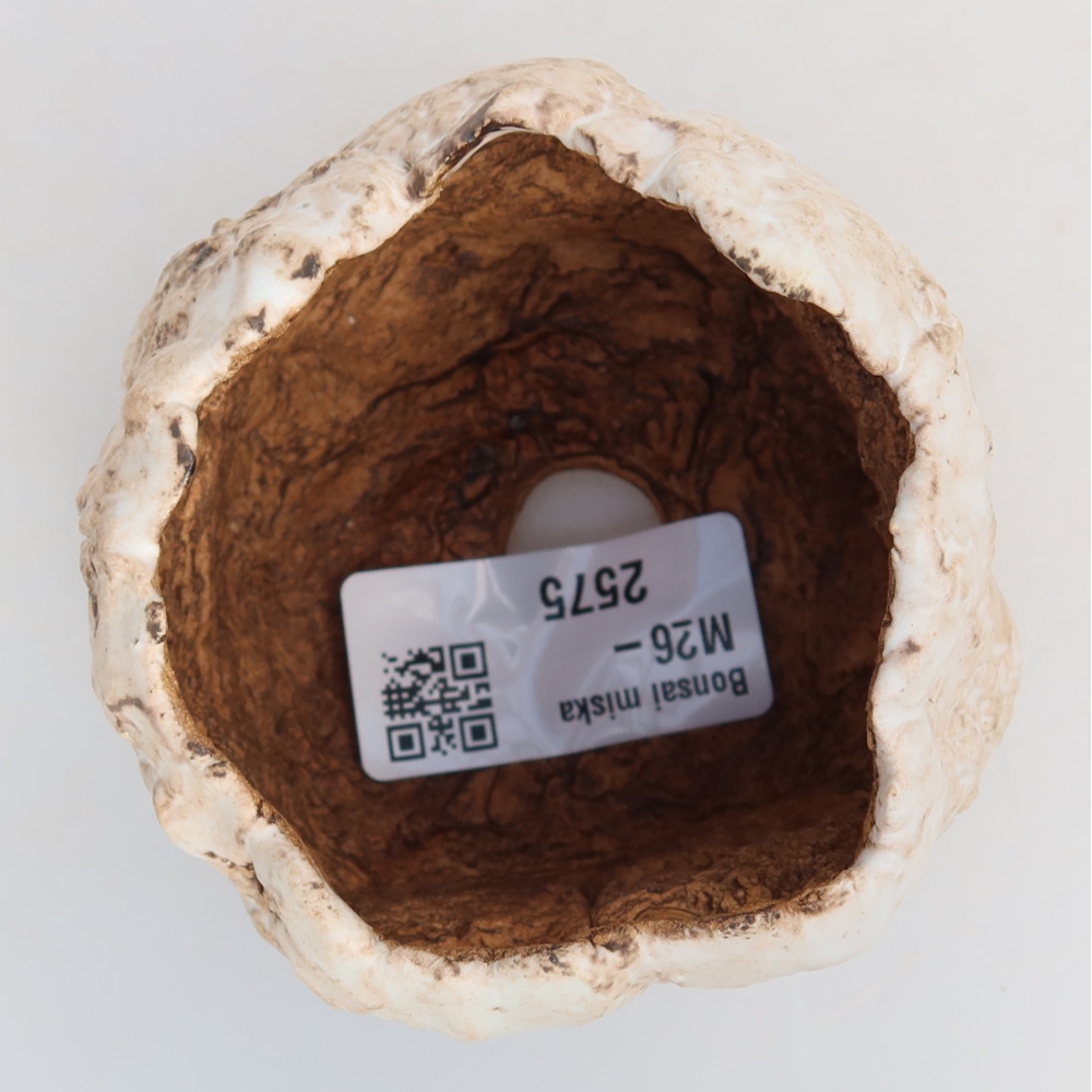 Keramická škrupina  7 x 7 x 6 cm, farba bielo-hnedá