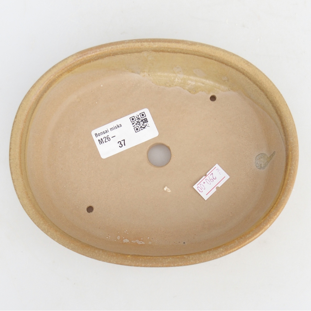 Keramická miska na bonsaje 17 x 14 x 4 cm, farba béžová