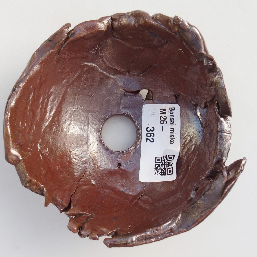 Keramická mušľa 10 x 10 x 6 cm , farba hnedá