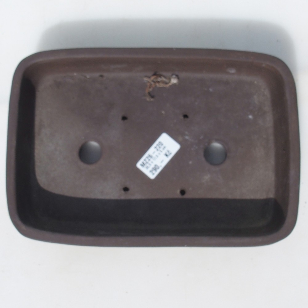 Miska na bonsaj 25,5 x 17,5 x 5 cm breza hnedá