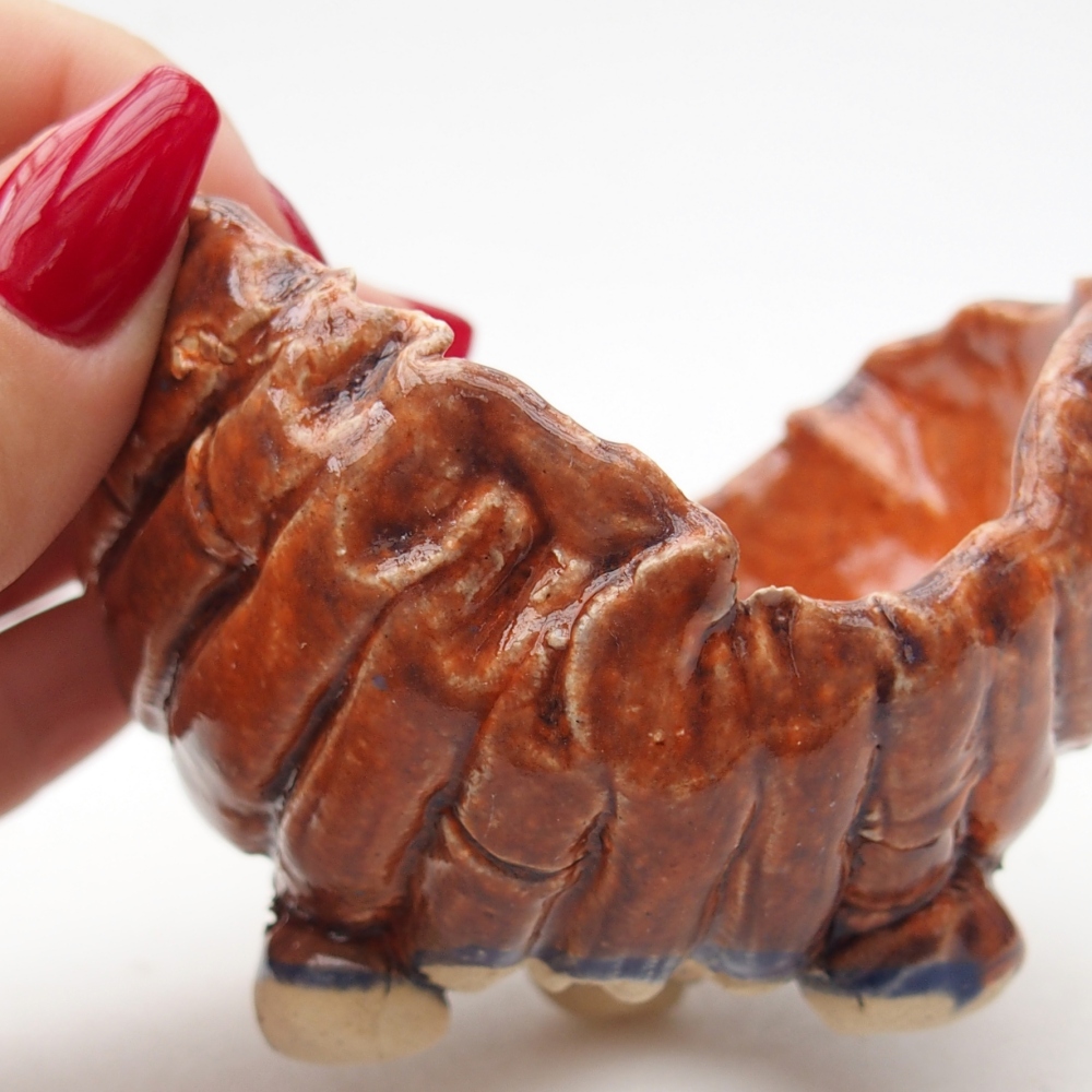 Keramická mušľa 8 x 8 x 6 cm , farba oranžová