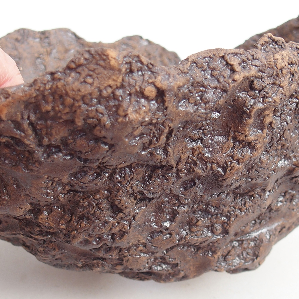 Keramická mušľa 19 x 15 x 14 cm , farba hnedá