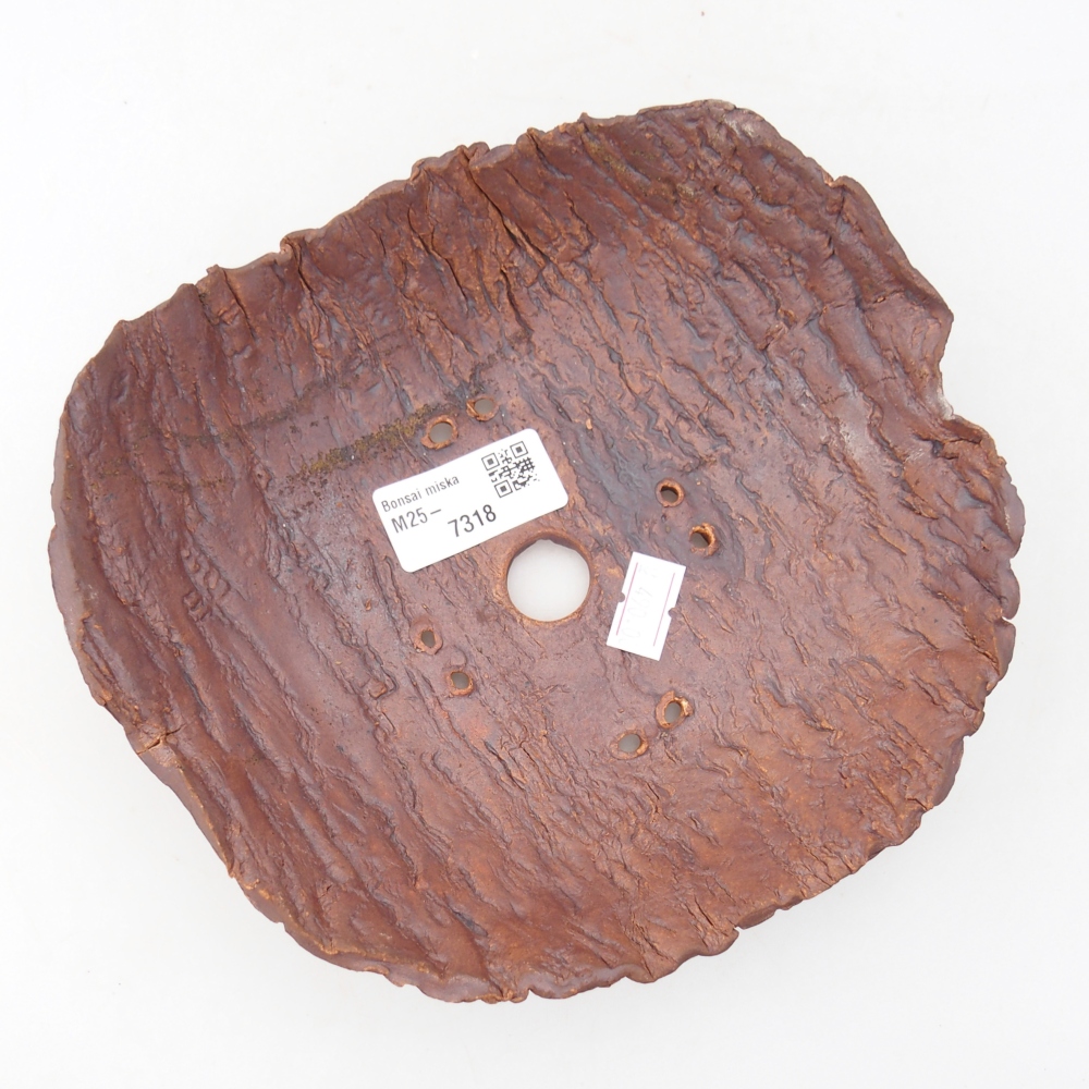 Keramická mušľa 19 x 17 x 5 cm , farba hnedá