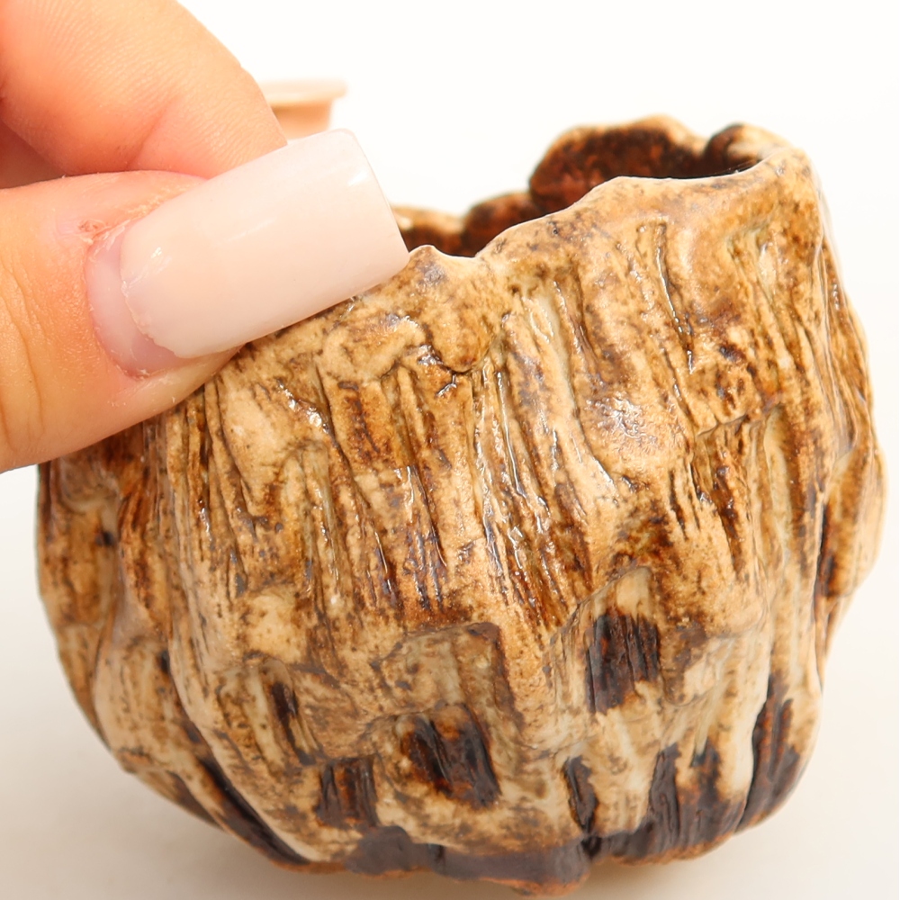 Keramická škrupina  7 x 7 x 6,5 cm, farba bielo-hnedá