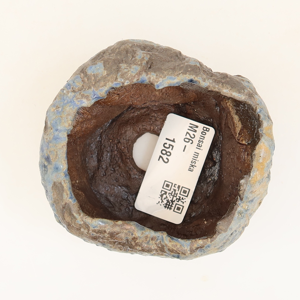 Keramická škrupina  6 x 5 x 5 cm, farba modrá