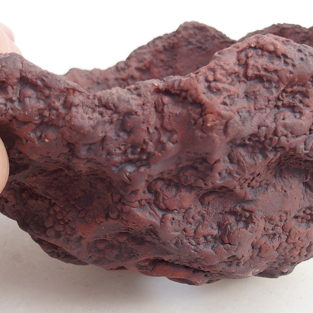 Keramická mušľa 13 x 11 x 12 cm , farba hnedá