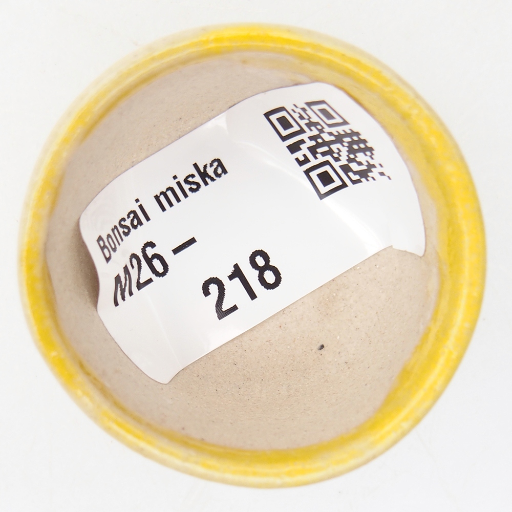 Mini bonsajová miska 4 x 4 x 2,5 cm, žltá