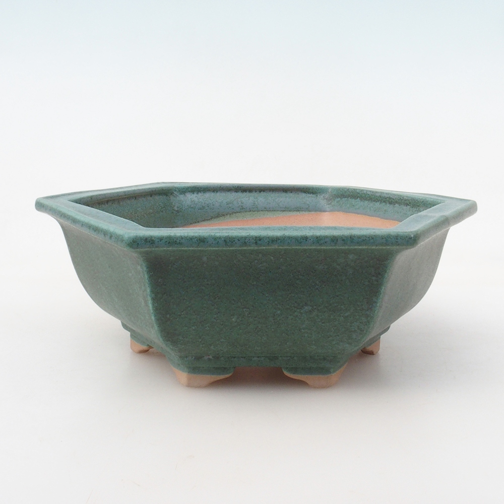Bonsai miska H05 – 19 x 21,5 x 7 cm. - zelená