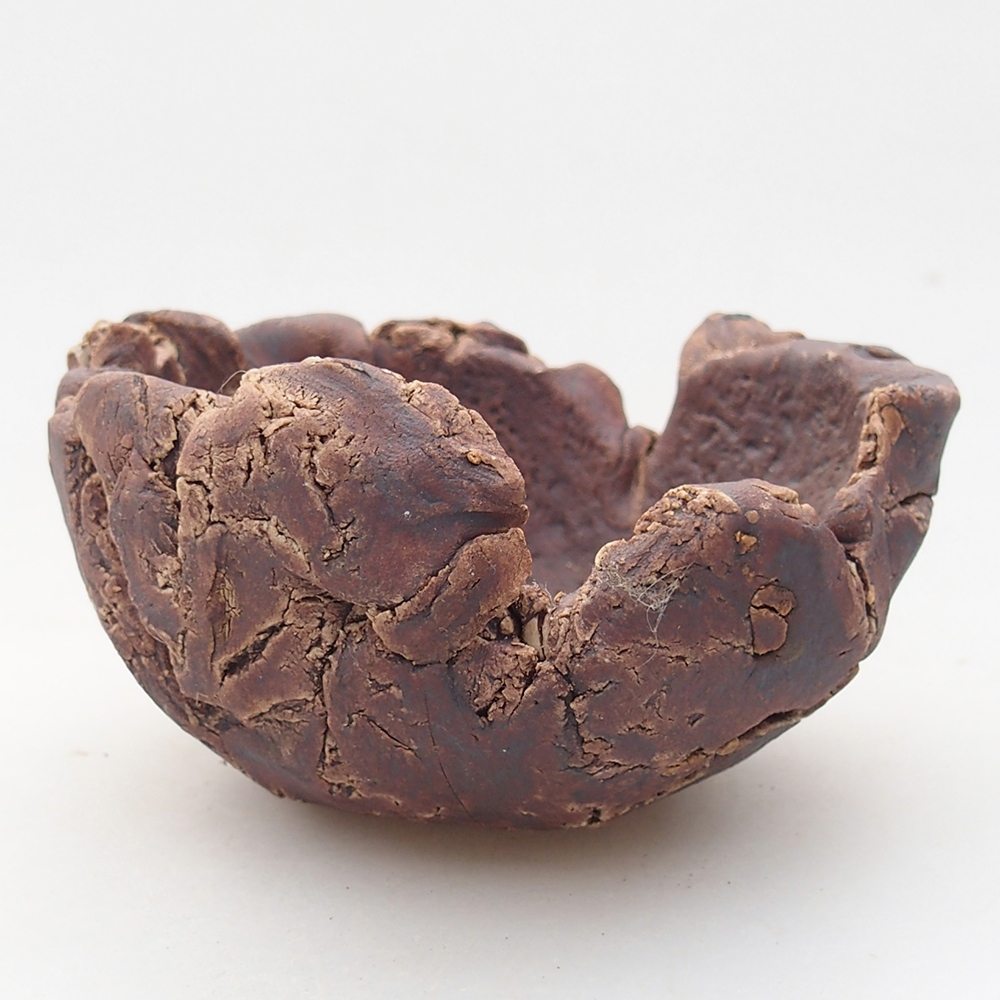 Keramická mušľa 10 x 9 x 5,5 cm , farba hnedá