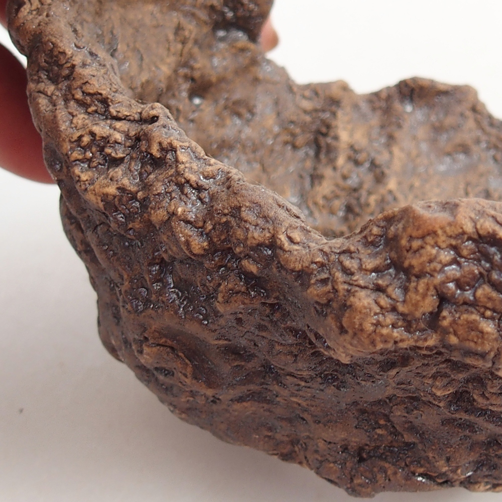 Keramická mušľa 10 x 9 x 9 cm , farba hnedá