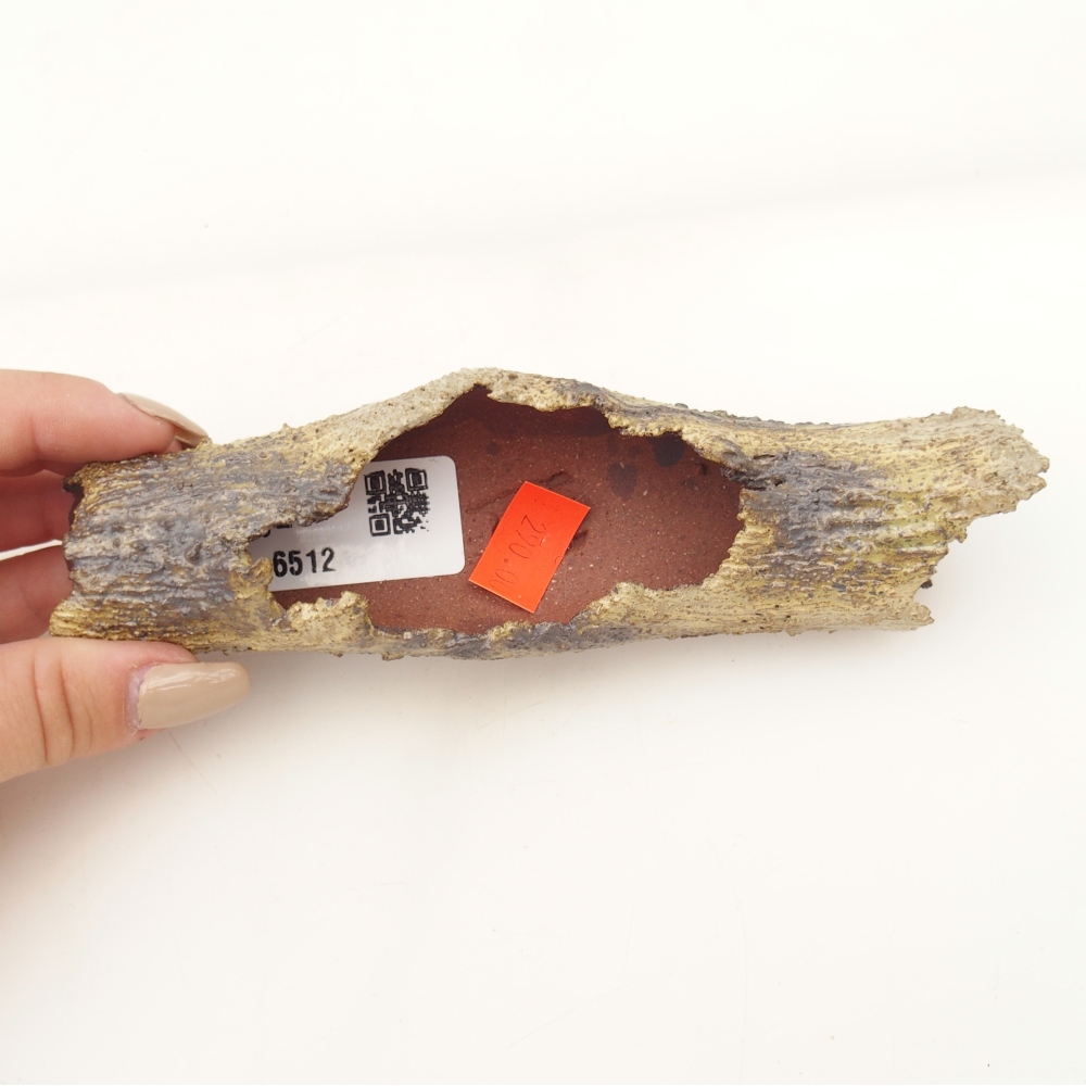 Keramická mušľa 15 x 4,5 x 3 cm , žltá