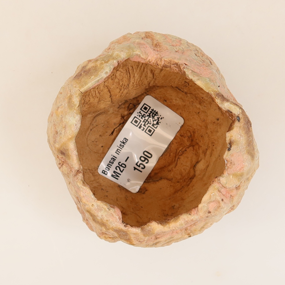 Keramická škrupina  5 x 5 x 6 cm, ružová farba