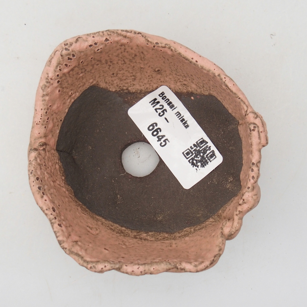Keramická mušľa 9 x 8 x 4 cm, farba ružová