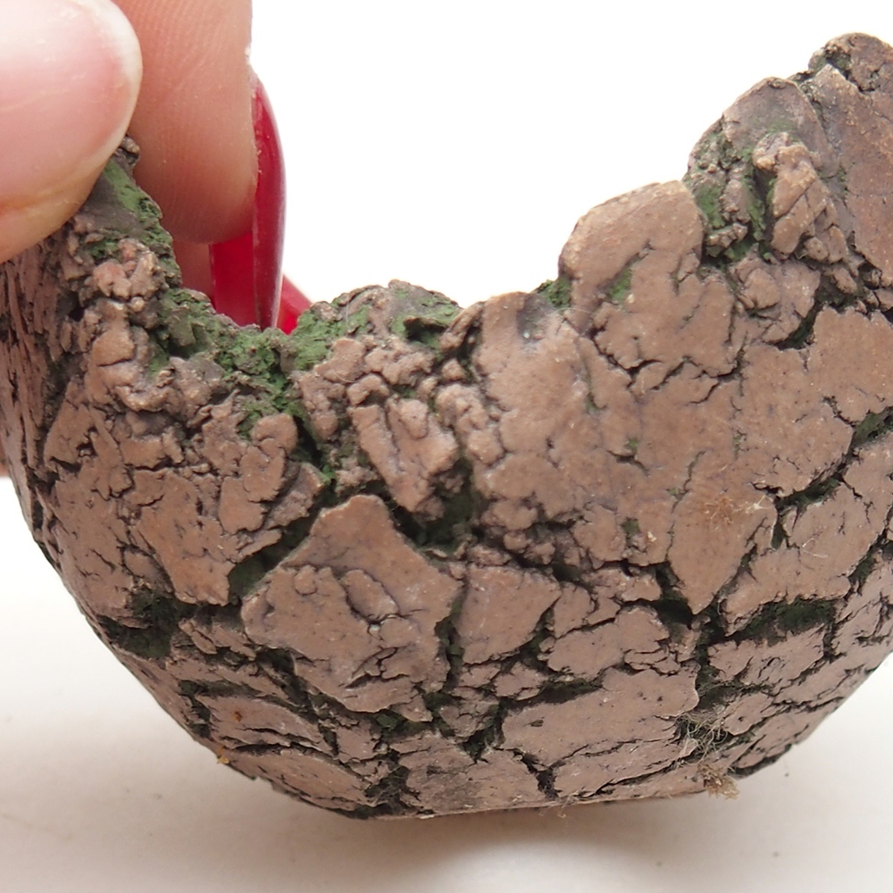 Keramická mušľa 7 x 6 x 5 cm , farba zelená