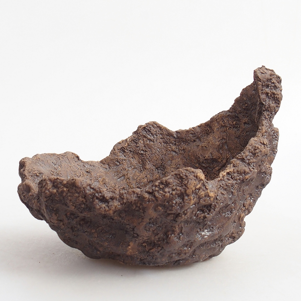 Keramická mušľa 13 x 11 x 11 cm , farba hnedá