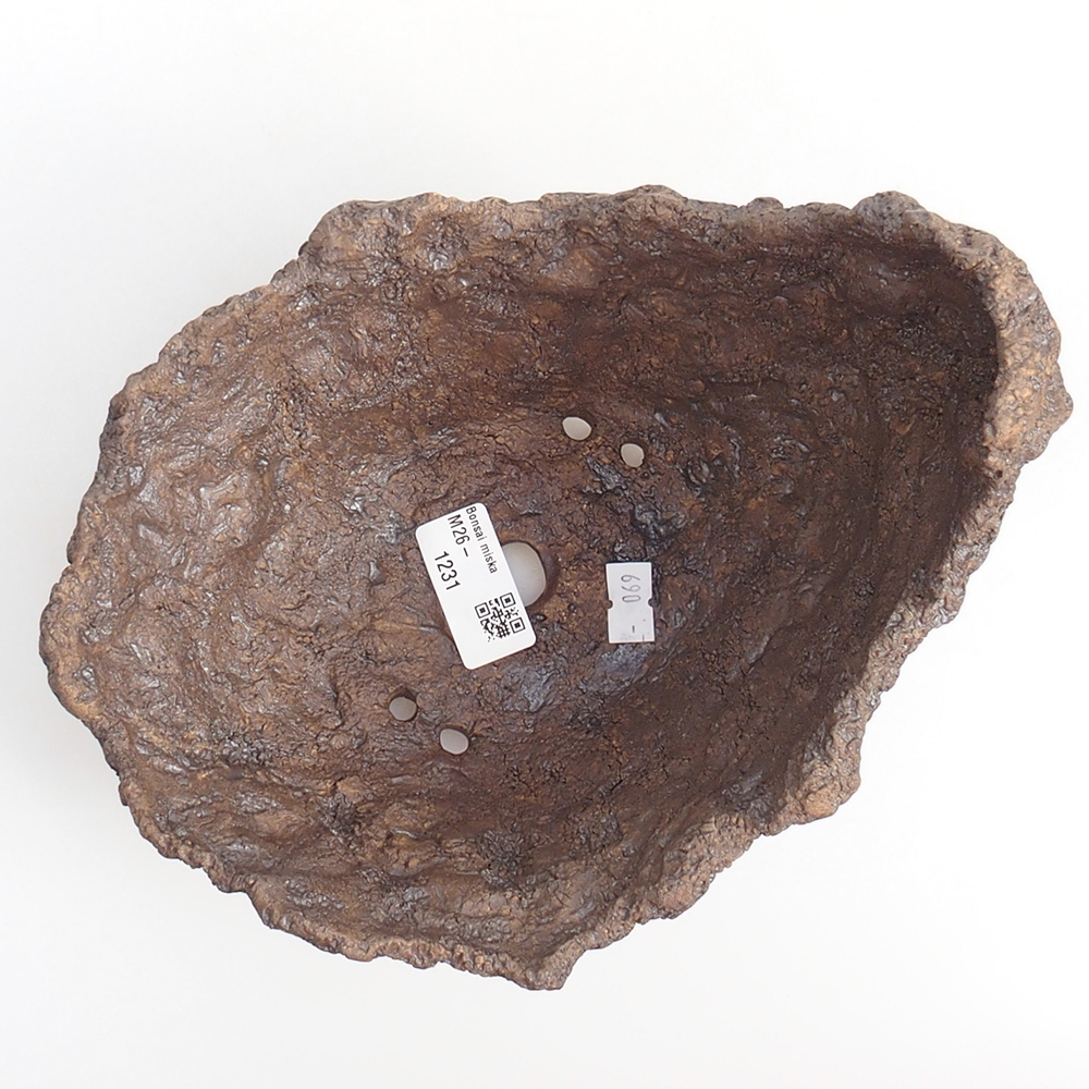 Keramická mušľa 20 x 16 x 17 cm , farba hnedá