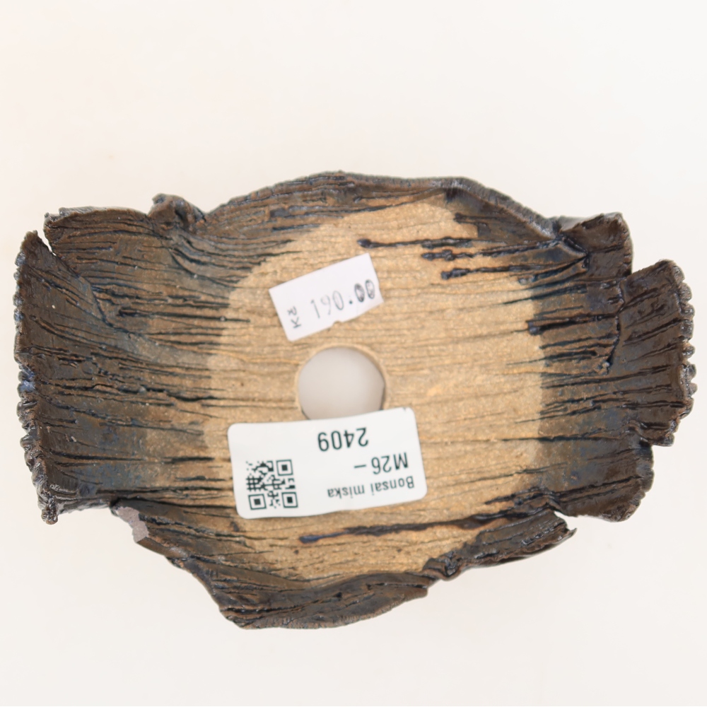 Keramická škrupina  11 x 8,5 x 6,5 cm, farba čierno-zelená