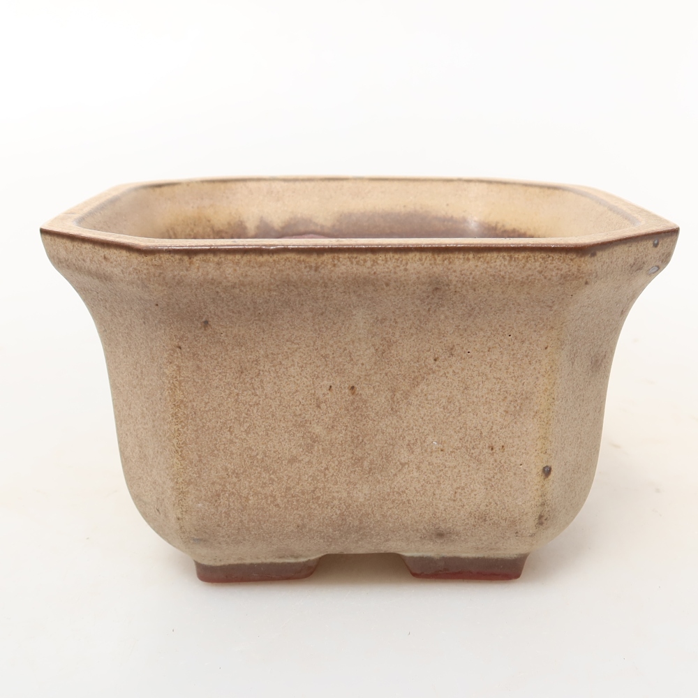 Keramická škrupina  11,5 x 11,5 x 7 cm, farba béžová