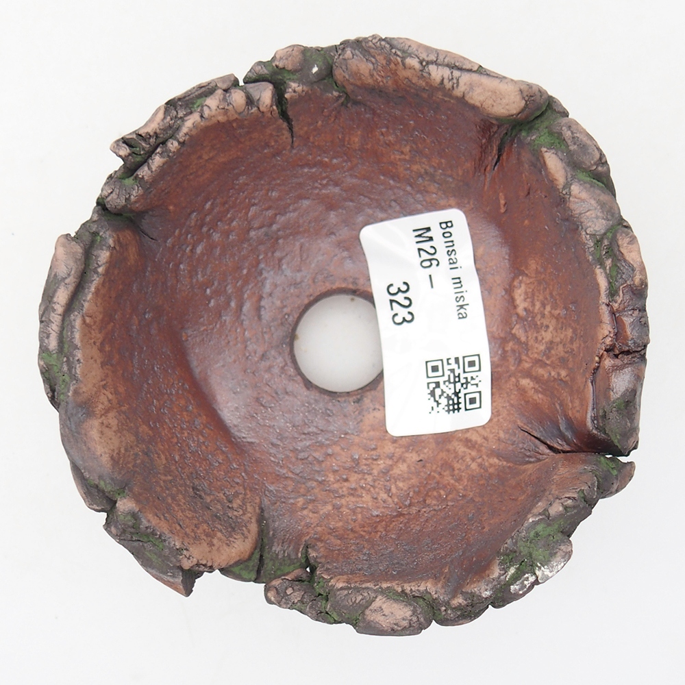 Keramická mušľa 9,5 x 9,5 x 6 cm , farba zelená