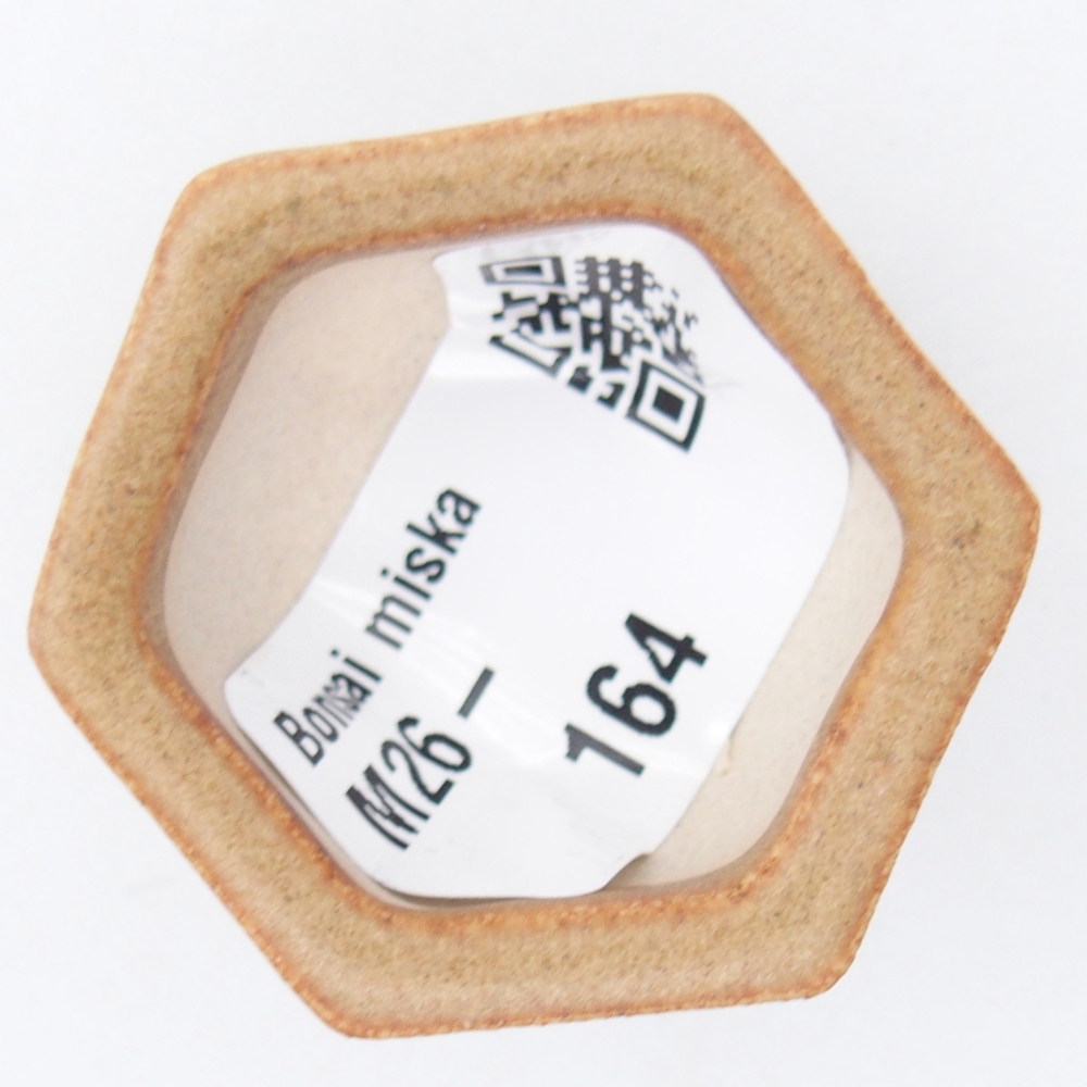 Mini bonsajová miska 4 x 3,5 x 2 cm, hnedá