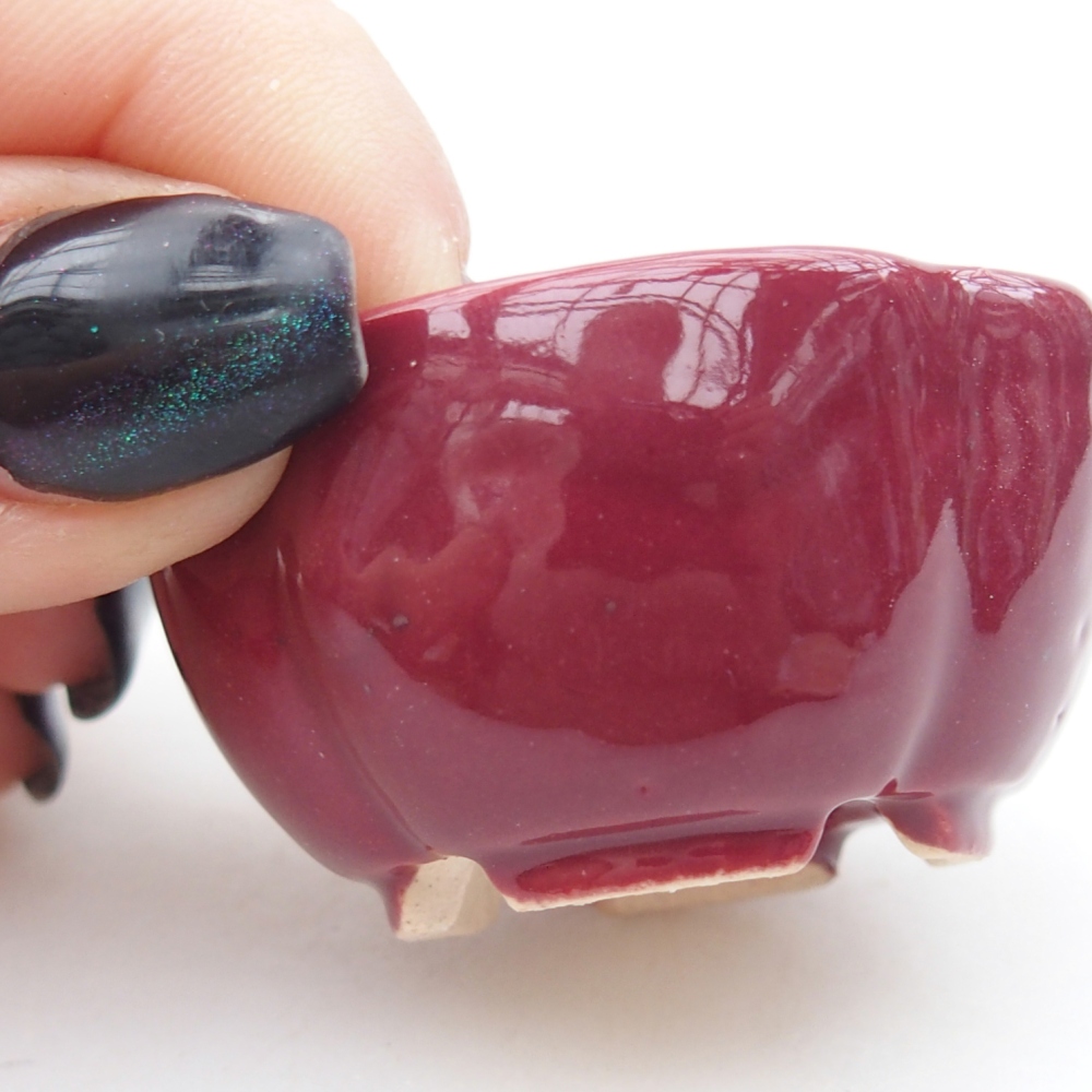 Mini bonsajová miska 4 x 4 x 2 cm, bordová